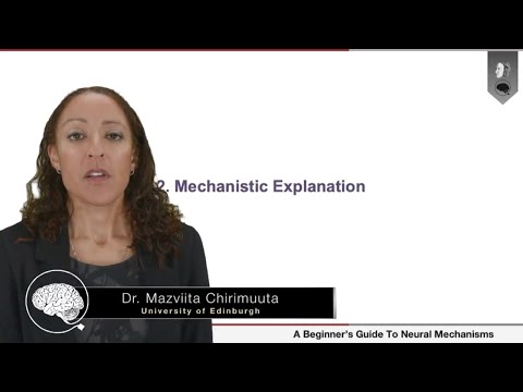 Mechanistic Explanation | Dr. Mazviita Chirimuuta (Part 2 of 4)