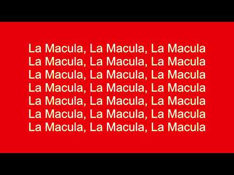 El Mayor Clasico X Ceky Viciny X Anonimus X Bulin 47 X Lirico En La Casa - La Macula (Letra; Lyrics)