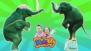 เพลงช้าง By KidsMeSong