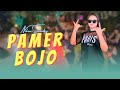 Niken Salindry PAMER BOJO Official Music Video ANEKA KUSTIK