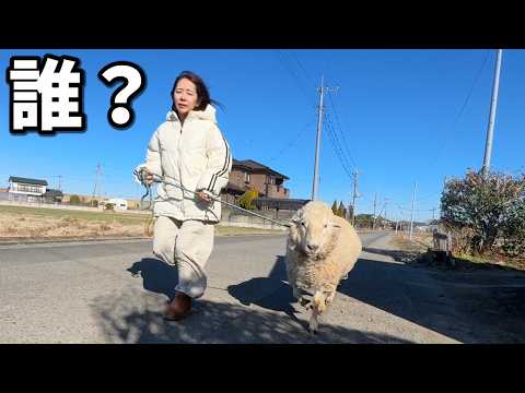 嘘だろ・・・？！