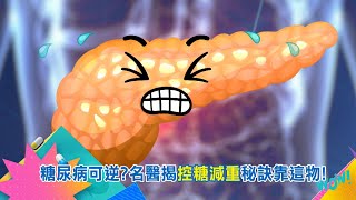 糖尿病可逆?名醫揭控糖減重秘訣靠這物!  吃飽想睡是血糖警訊!細胞發電靠菠菜!｜【祝你健康 預告】 20251114｜三立iNEWS