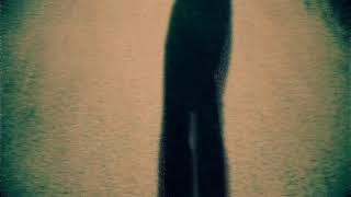 The Seeds Faded Picture