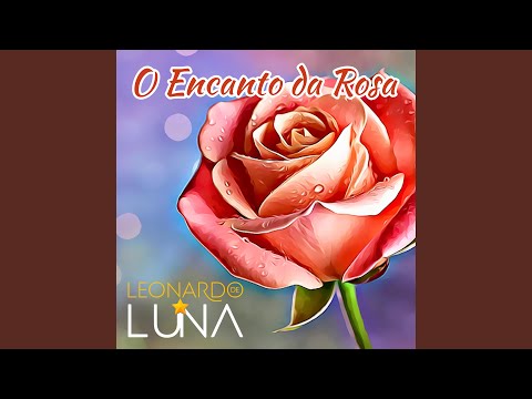 O Encanto da Rosa