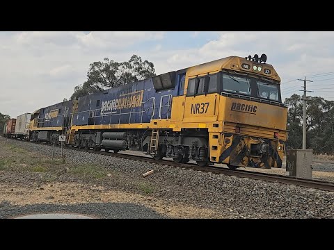3PM7 PN up "Linfox Express #2" (NR37, NR10), Perth to Melbourne, 1640, 27/12/24, Ararat West VIC