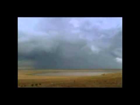 Fiku (Komentimi i Sures et-Tinë) - Ismail Bardhoshi