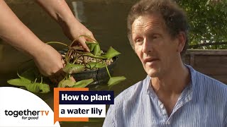 Monty Don Shows You How To Plant A Water Lily | Big Dreams, Small Spaces