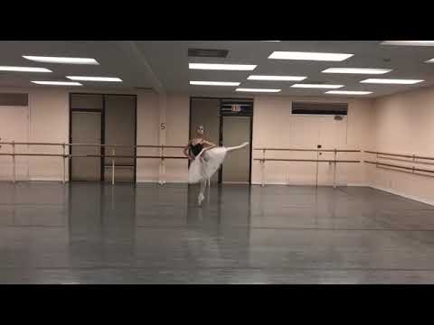 CAVALRY HALT. Alina Taratorin  (15 years old)