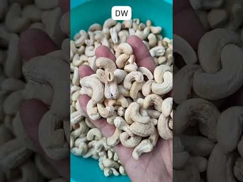 Solitaire DW Cashew