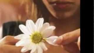 Super Lamas - Amor de verano (Javier Torres - Compositor).wmv