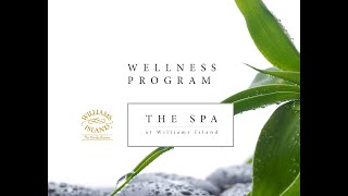 The Spa Wellness Program