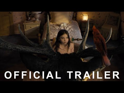 Трейлеры Closure