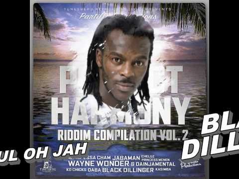 Perfect Harmony riddim vol2 - official medley (Wayne Wonder & more) Partillo Productions (feb 2011)