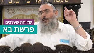 הרב דניאל אלול - פרשת בא - התשפ"ה (ישיבת שעלבים) - התמונה מוצגת ישירות מתוך אתר האינטרנט יוטיוב. זכויות היוצרים בתמונה שייכות ליוצרה. קישור קרדיט למקור התוכן נמצא בתוך דף הסרטון הרב דניאל אלול - פרשת בא - התשפ"ה (ישיבת שעלבים) - התמונה מוצגת ישירות מתוך אתר האינטרנט יוטיוב. זכויות היוצרים בתמונה שייכות ליוצרה. קישור קרדיט למקור התוכן נמצא בתוך דף הסרטון