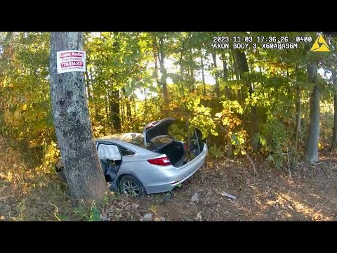 Cobb County Teen Fleeing in Stolen Hyundai Meets a Power Pole