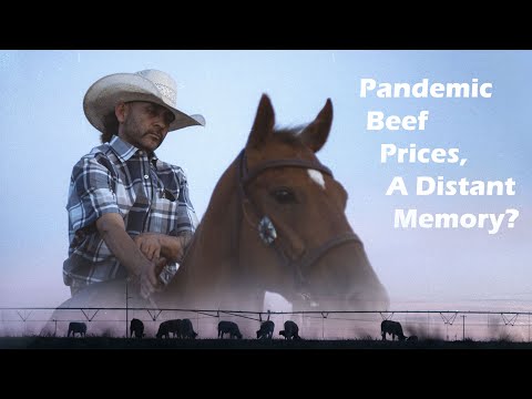 Pandemic Beef Prices, a Distant Memory? [Documentary]