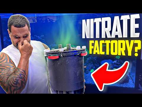 Your Canister Filter Cleaning is KILLING Your Tank! | Aquarium Canister Filter | KaveMan Aquatics