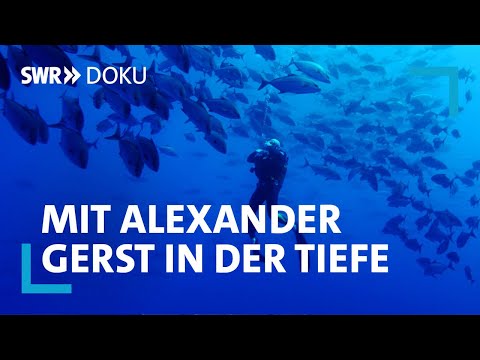 Alexander Gerst auf Expedition - In der Tiefe des Atlantiks | SWR Doku