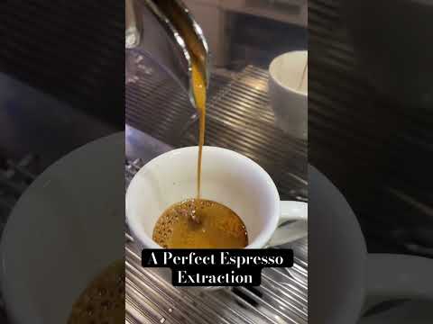 How a Good Espresso Extraction Should Look