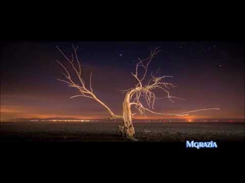 Craig Connelly feat  Jennifer Rene  -   No One Like