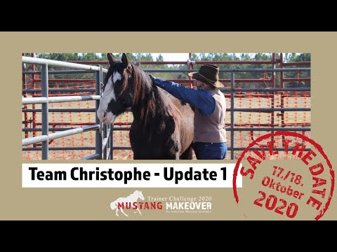 MUSTANG MAKEOVER 2020 - Team Christophe (TAG 5120) - Update 1