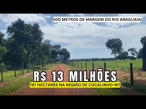 🌾 FAZENDA A VENDA COM 797 HA EM COCALINHO, REGIÃO DA SOJA, 500 MTS DE RIO ARAGUAIA, A 100 KM DA JBS!