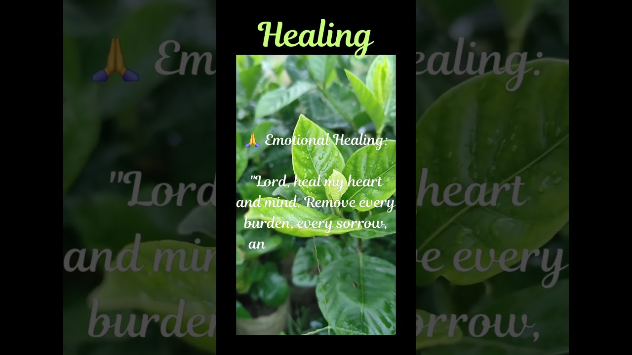 🙏 HEALING 🙏