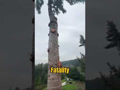 Most Dangerous Job in the US!