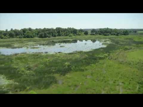 Heli shot edit of Chad Reed #22