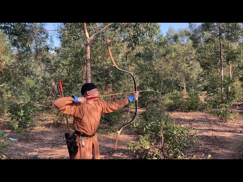 Spring special effects video ：bad shooting 1 liangzhi manchu bow 32inch 95lb 30inch 88lb