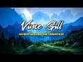 Vince Gill Go Rest High On That Lyric