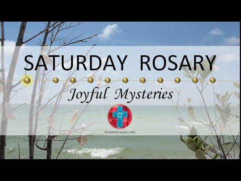 Saturday Rosary • Joyful Mysteries of the Rosary 💙 August 19, 2023 VIRTUAL ROSARY - MEDITATION
