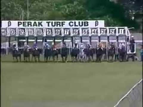 20101016 IPOH CLASS 5 (HOME BASED) 1100M (STR) - MR SHOWPIECE (S Thai Yang)