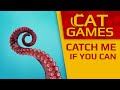 CAT GAMES Catch Me If You Can Videos For CATS To Watch 4K