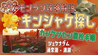 サーモンラーン キンシャケ探し 間欠泉解説 シェケナダム 通常潮 満潮 カンケツセン サーモンラン攻略解説 أفضل موقع لتشغيل ملفات Mp3 مجان ا