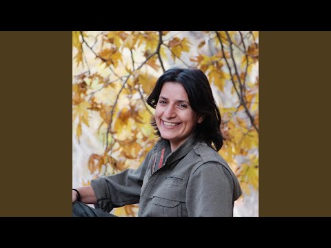 Dengê Zap (Special Version)