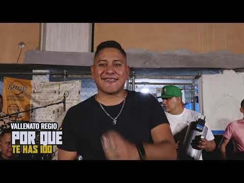 Por qué te has ido (Cover)  - Vallenato Regio