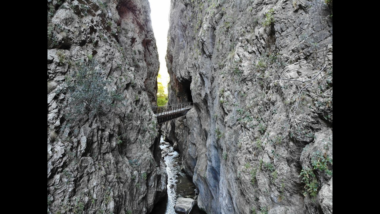 Зубчатая железная дорога