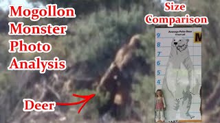 Bigfoot News! The Mogollon Monster Photo Breakdown