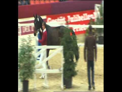 Deckhengst Chetlag.avi