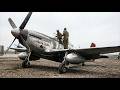 The Red Tail Vanguard: How the Tuskegee Airmen Conquered the Skies