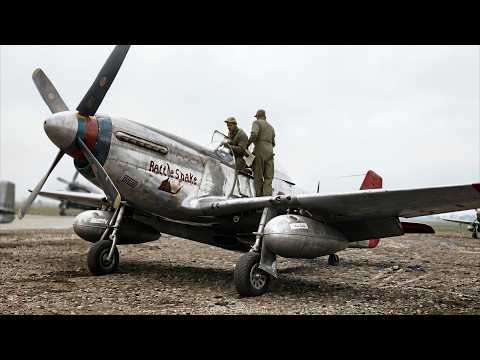 The Red Tail Vanguard: How the Tuskegee Airmen Conquered the Skies