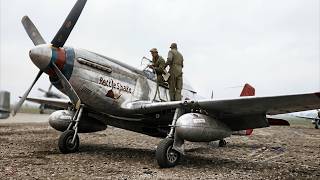 The Red Tail Vanguard: How the Tuskegee Airmen Conquered the Skies