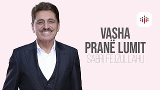Sabri Fejzullahu - Vasha Prane Lumit