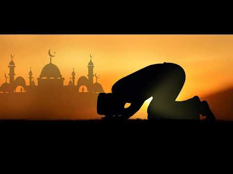 What is Islam and Muslim? (Dr. Zakir Naik)