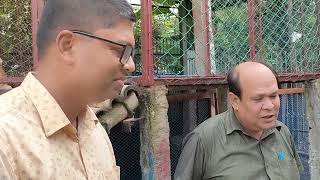 জসিম জুই এর গাড়লের খামার