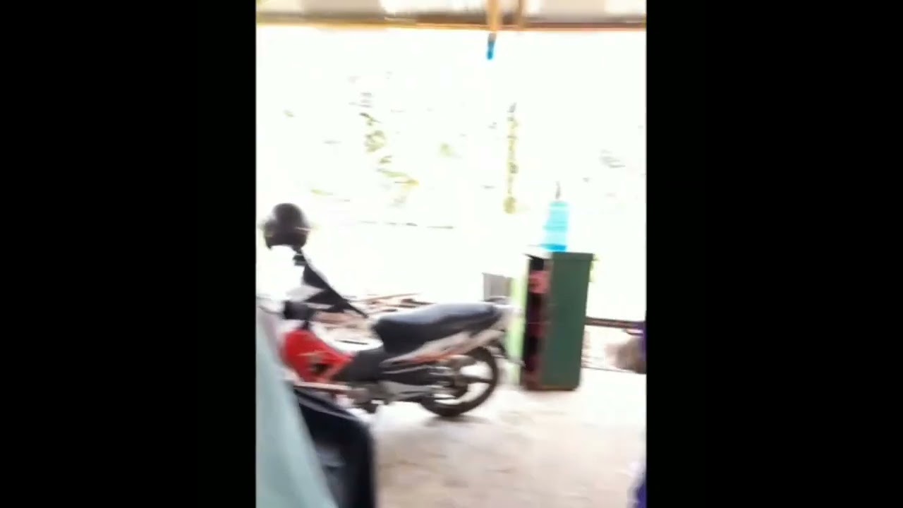 BULAN IMUNISASI NASIONAL