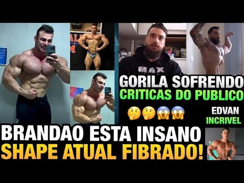 GORILA SOFRE CRITICAS DO PÚBLICO - BRANDÃO MOSTRA SHAPE INSANO E IMPRESSIONA + EDVAN PALMEIRA