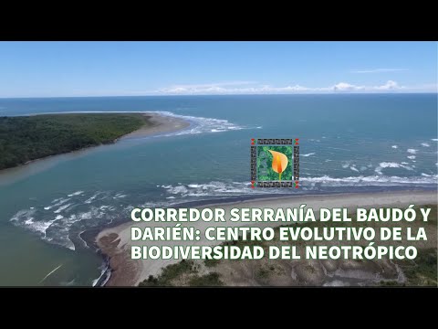 Chocó Biogeográfico: Corredor Serranía del Baudó-Centro evolutivo de la biodiversidad del neotrópico