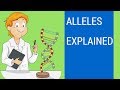 What is an allele ? ( Allele examples )